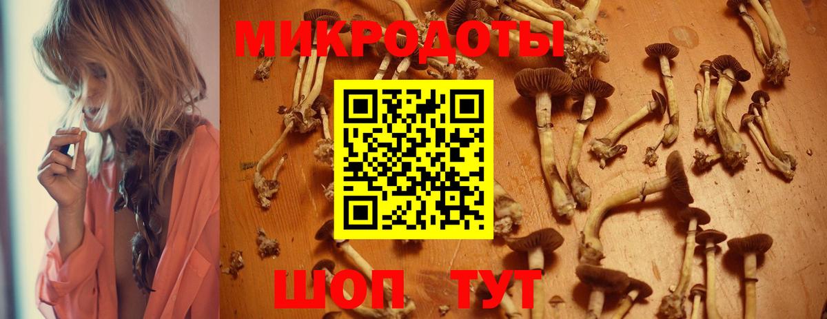 Солнечногорск  Псилоцибиновые грибы Psilocybine cubensis  Вход с VPN 